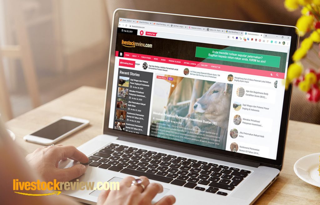Livestockreview.com Thumbnail